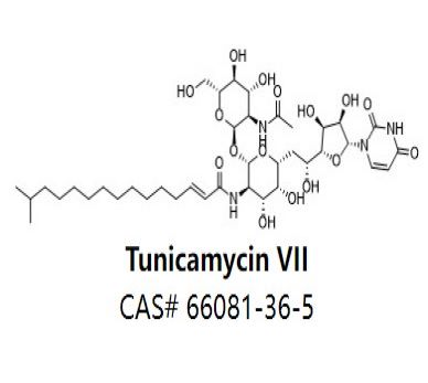 Tunicamycin VII,Tunicamycin VII