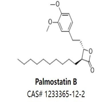 Palmostatin B,Palmostatin B