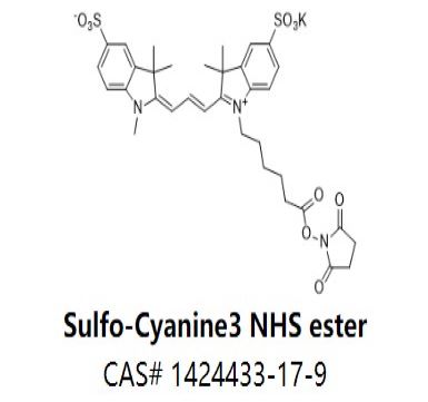 Sulfo-Cyanine3 NHS ester,Sulfo-Cyanine3 NHS ester