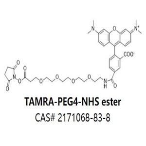 TAMRA-PEG4-NHS ester