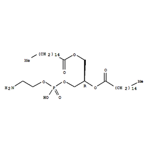 DPPE-ICG 二棕榈酰基磷脂酰乙醇胺-吲哚菁绿