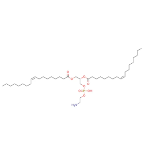 DOPE-ICG 二油酰基磷脂酰乙醇胺-吲哚菁绿