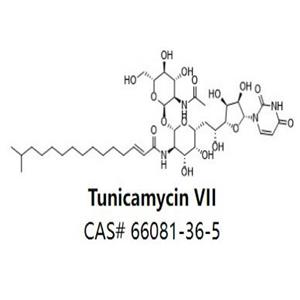 Tunicamycin VII,Tunicamycin VII