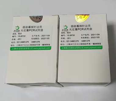 大鼠甲状旁腺激素相关蛋白(PTHrP)Elisa试剂盒,PTHrP