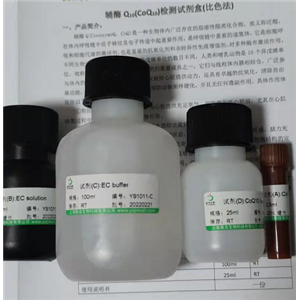 大鼠艾杜糖硫酸酯酶(IDS)Elisa试剂盒,IDS