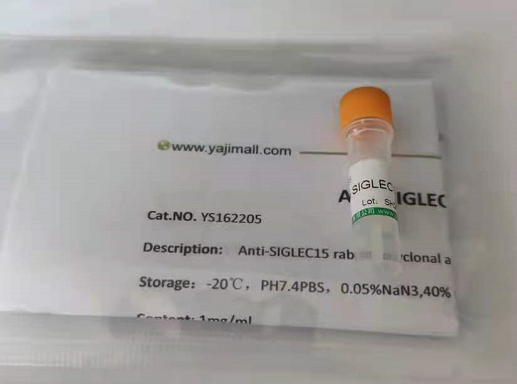 大鼠信号转导分子(Smad1)Elisa试剂盒,Smad1