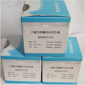 人细胞角蛋白20(CK-20)Elisa试剂盒