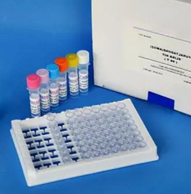 人胎儿血红蛋白(HBF)Elisa试剂盒,HBF