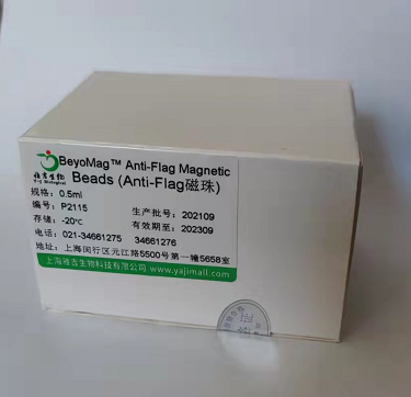 人锚蛋白(ankyrin)Elisa试剂盒,ankyrin