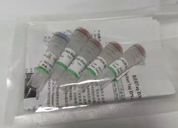 人美丽线虫凋亡基因(CED-3)Elisa试剂盒,CED-3