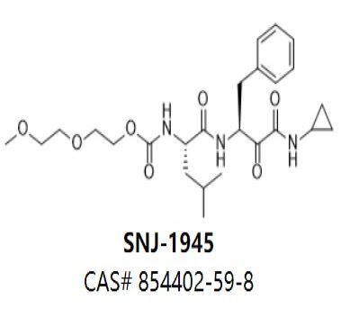 SNJ-1945,SNJ-1945