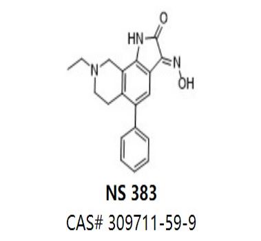 NS 383,NS 383