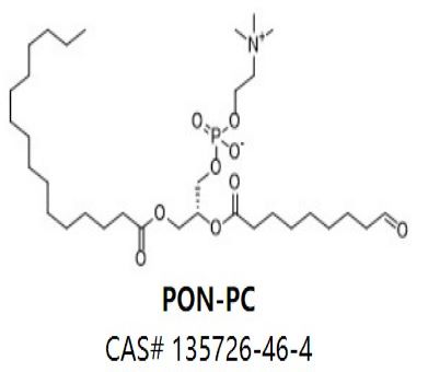 PON-PC,PON-PC