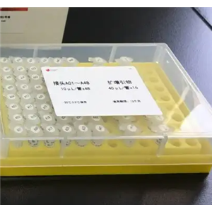人芳香烃受体(AhR)Elisa试剂盒