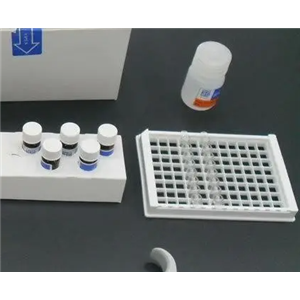 人α2纤溶酶抑制物(α2-PI)Elisa试剂盒