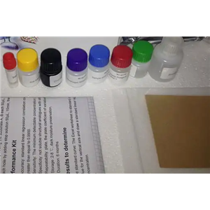 人免疫核糖核酸(Irna)Elisa试剂盒