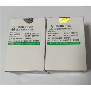 人类白细胞抗原C(HLA-C)Elisa试剂盒