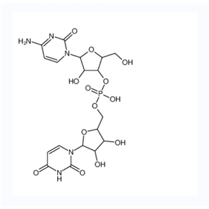 cytidylyl-(3'->5')-uridine