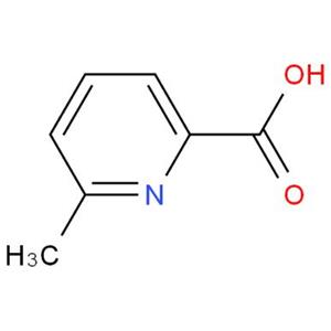 6-甲基吡啶甲酸