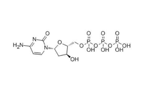 2'-脱氧胞苷三磷酸,2'-Deoxycytidine 5'-triphosphate