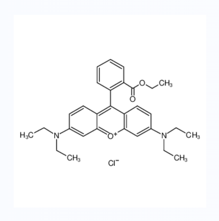 碱性红 11,[6-(diethylamino)-9-(2-ethoxycarbonylphenyl)xanthen-3-ylidene]-diethylazanium,chloride