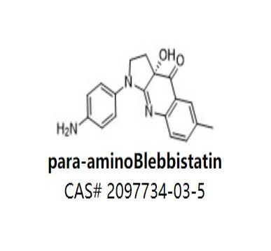 para-aminoBlebbistatin,para-aminoBlebbistatin