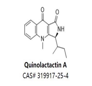 Quinolactactin A,Quinolactactin A