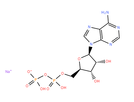 二磷酸腺肝钠盐,adenosine5’-diphosphate,monosodiumsaltdihydrate