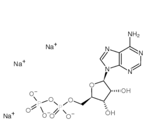 5′-二磷酸腺苷,三钠盐,Adenosine5'-(trihydrogen diphosphate), trisodium salt (9CI)