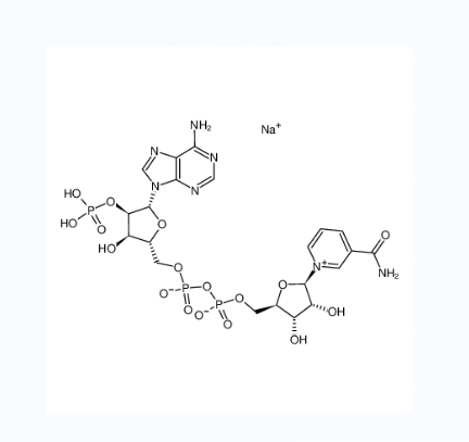 β-煙酰胺腺嘌呤二核苷酸磷酸鈉鹽,BETA-NICOTINAMIDE ADENINE DINUCLEOTIDE PHOSPHATE SODIUM SALT