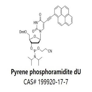 Pyrene phosphoramidite dU