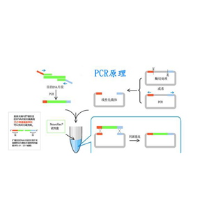 青霉通用探針法熒光定量PCR試劑盒