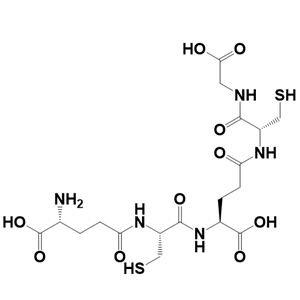 Phytochelatin 2重金属结合肽