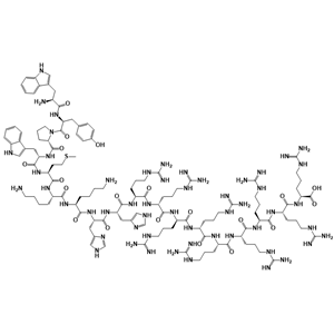 HXR9细胞渗透性多肽,HXR9