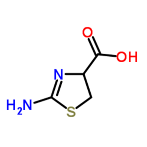 2-氨基-4-噻唑啉酸