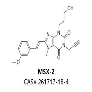 MSX-2