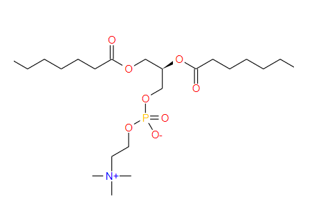 1,2-二亞油酰基-3-SN-磷脂酰膽堿