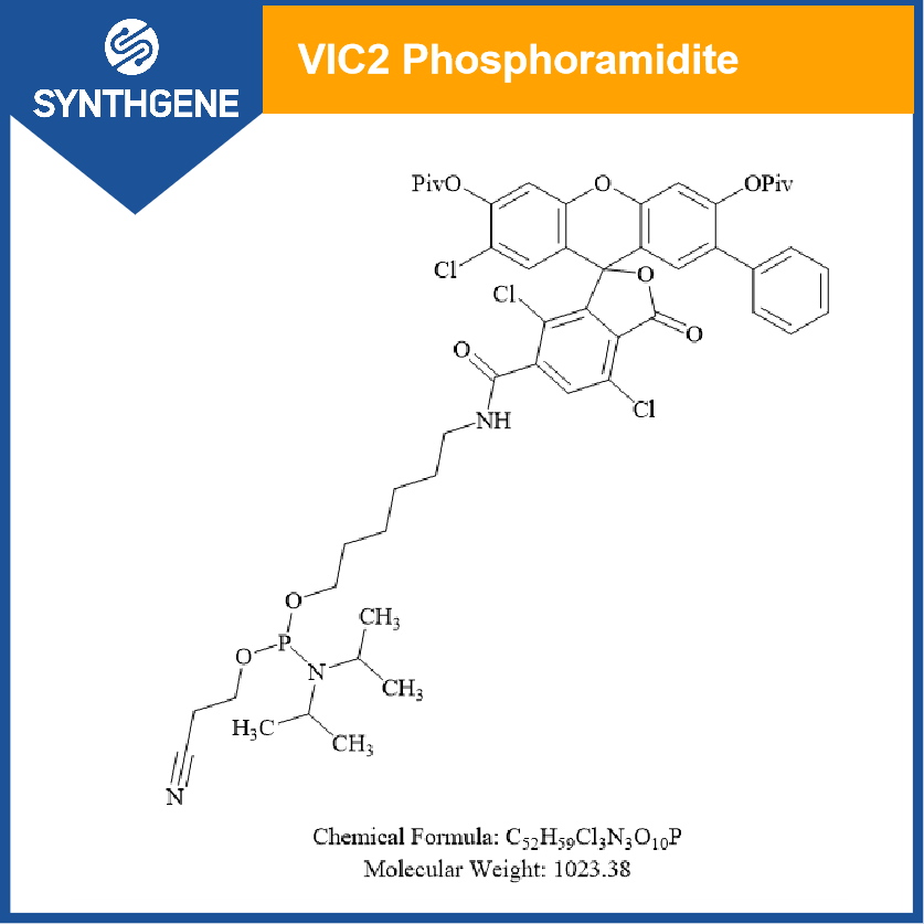 VIC2 Phosphoramidite