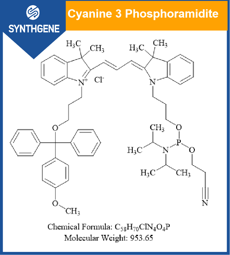 CY3-亚磷酰胺,1-[3-(4-monomethoxytrityloxy)propyl]-1'-[3-[(2-cyanoethyl)-(N,N-diisopropyl)phosphoramidityl]propyl]-3,3,3',3'-tetramethylindocarbocyanine chloride