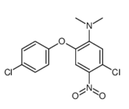 5-chloro-2-(4-chlorophenoxy)-N,N-dimethyl-4-nitroaniline,5-chloro-2-(4-chlorophenoxy)-N,N-dimethyl-4-nitroaniline