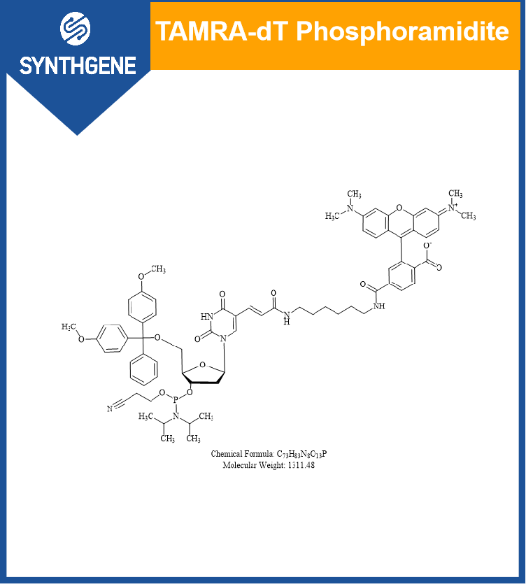 5'-Dimethoxytrityloxy-5-N-((tetramethylrhodaminyI)-aminohexyI)-3-acrylimido]-2'- deoxyuridine -3'-  [(2- cyanoethyI) N, N-diisopropyl)]-Phosphoramidite  ?