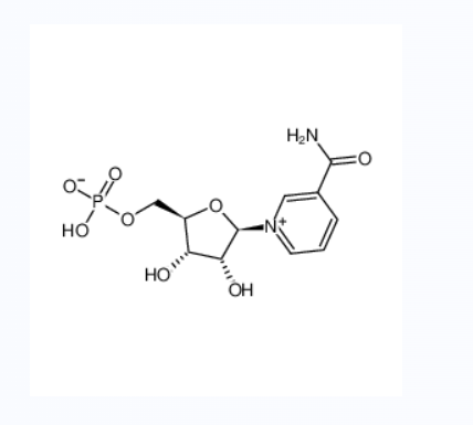 β-煙酰胺單核苷酸,β-Nicotinamide Mononucleotide