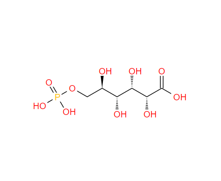 L-葡萄糖,6-phospho-D-gluconic acid