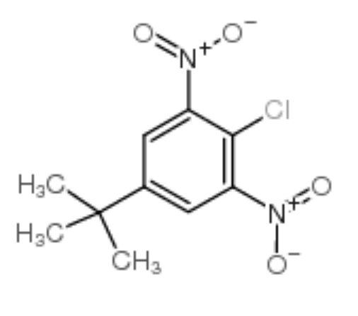 2-氯-5-叔丁基-1,3-二硝基苯,4-tert-Butyl-2,6-dinitrochlorobenzene