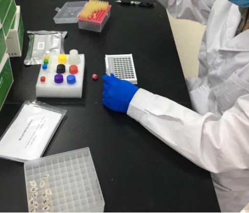 菠萝蛋白酶检测试剂盒(福林比色法)