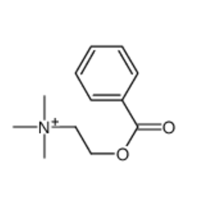 2-benzoyloxyethyl(trimethyl)azanium