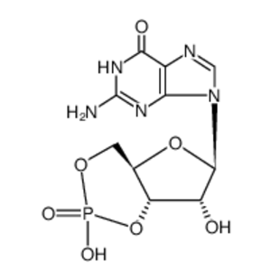 鸟苷3',5'-环一磷酸