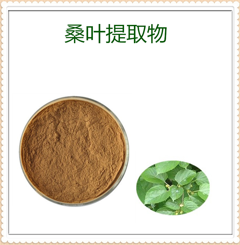 桑葉提取物,Mulberry Leaf extract