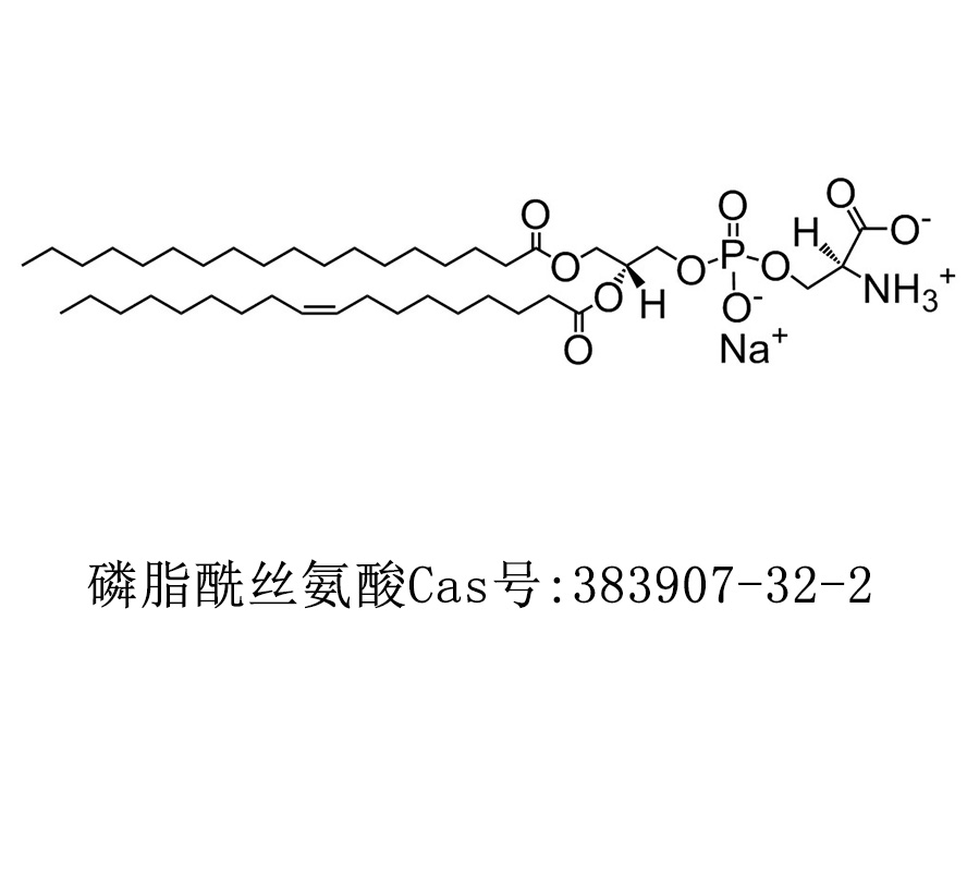 磷脂酰丝氨酸(猪脑),L-ALPHA-PHOSPHATIDYLSERINES, BRAIN, PORCINE