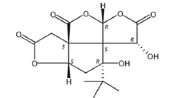 白果内酯,Bilobalide